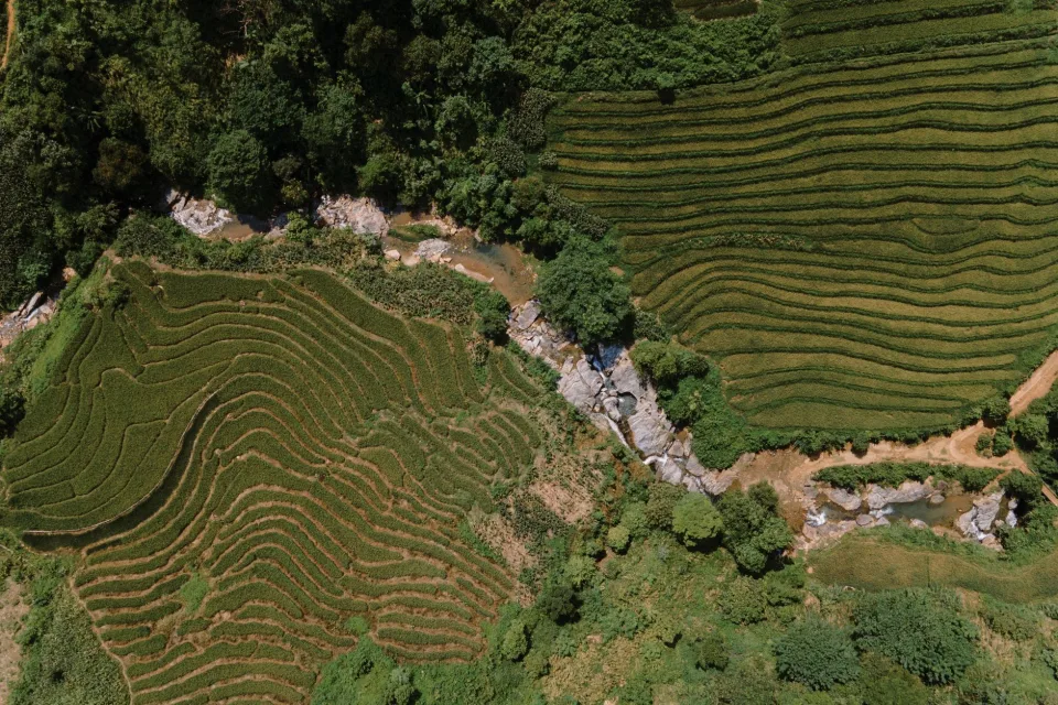 Kho gạo của Lê Minh Dương